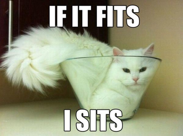 If I fits, I sits