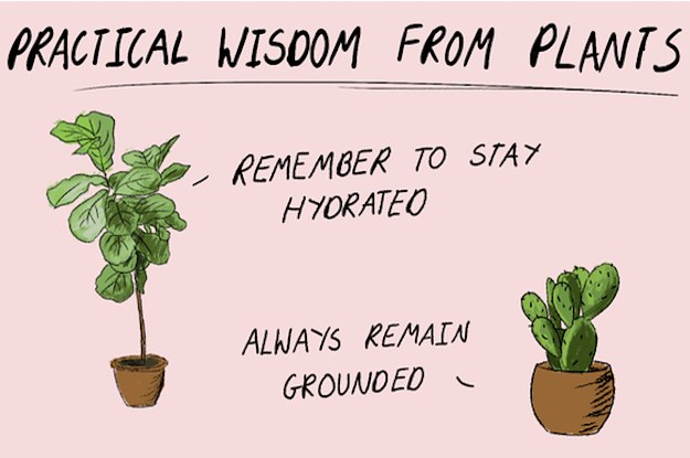 Practical wisdom from plants image