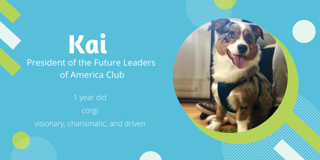 photo of Kai, a 1-year-old corgi who is visionary, charismatic, and driven. He would be great president of the future leaders of America club.