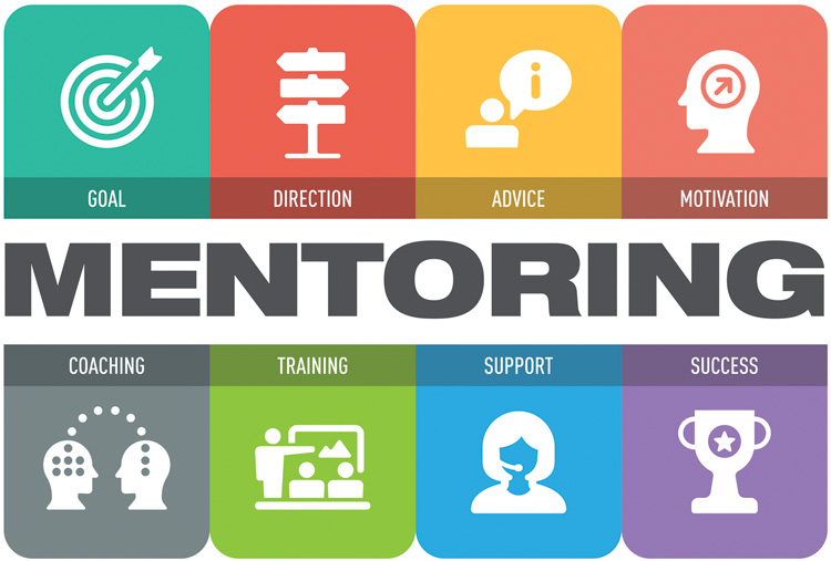 8 boxes of mentoring