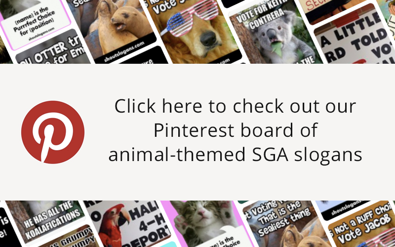 Animal SGA Slogans - Pinterest Board