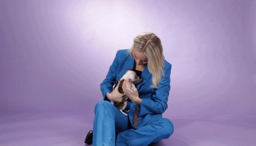 gif of Brie Larson being handed 3 puppies