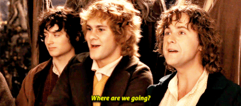 gif from Lord of the Rings - 'where are we going?'