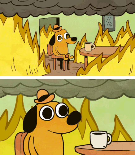 gif of a cartoon dog surrounded by burning flames and saying 'this is fine' as he continues to sit calmly with a mug of coffee beside him
