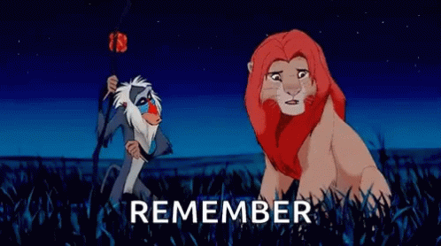 gif of the Lion King - 