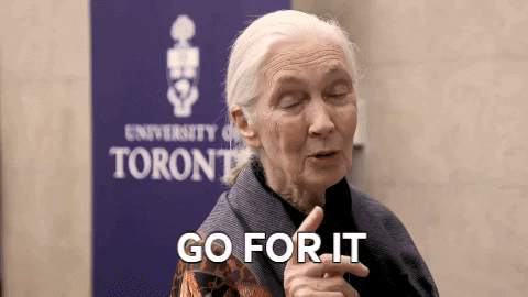 gif of Jane Godall saying 'go for it'