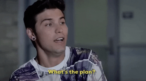 gif of someone saying 'what's the plan?'