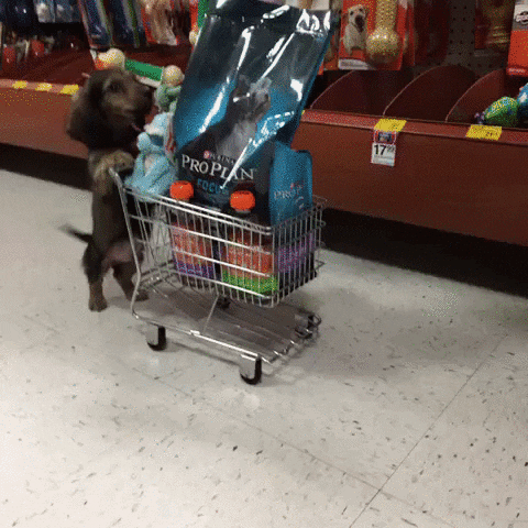 dog pushing a grocery cart