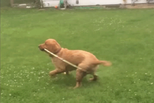 hulahoop