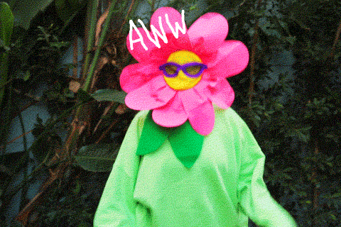 aw yeah gif