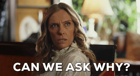 gif of Toni Collette from Knives Out saying 'can we ask why?'