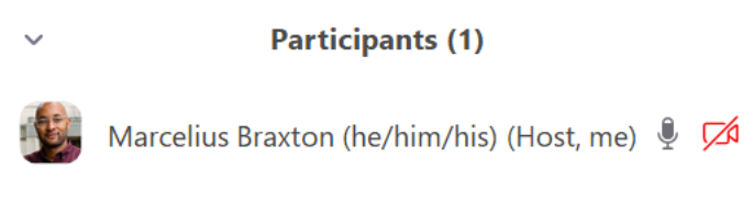 screencap from Zoom showing Marcelius's name and pronouns in a participants list