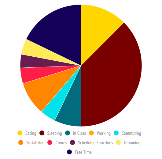 a pie chart with different colors showing off the amount of time devoted to sleep, socializing, work, studying, and more
