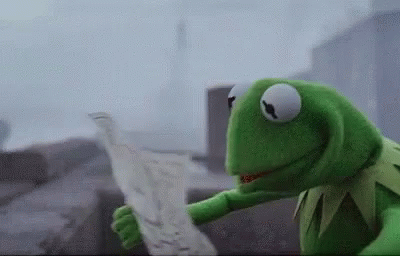 gif of Kermit the Frog reading a map