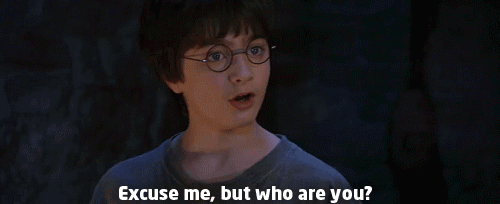 gif of Harry Potter saying 'excuse me but who are you?'